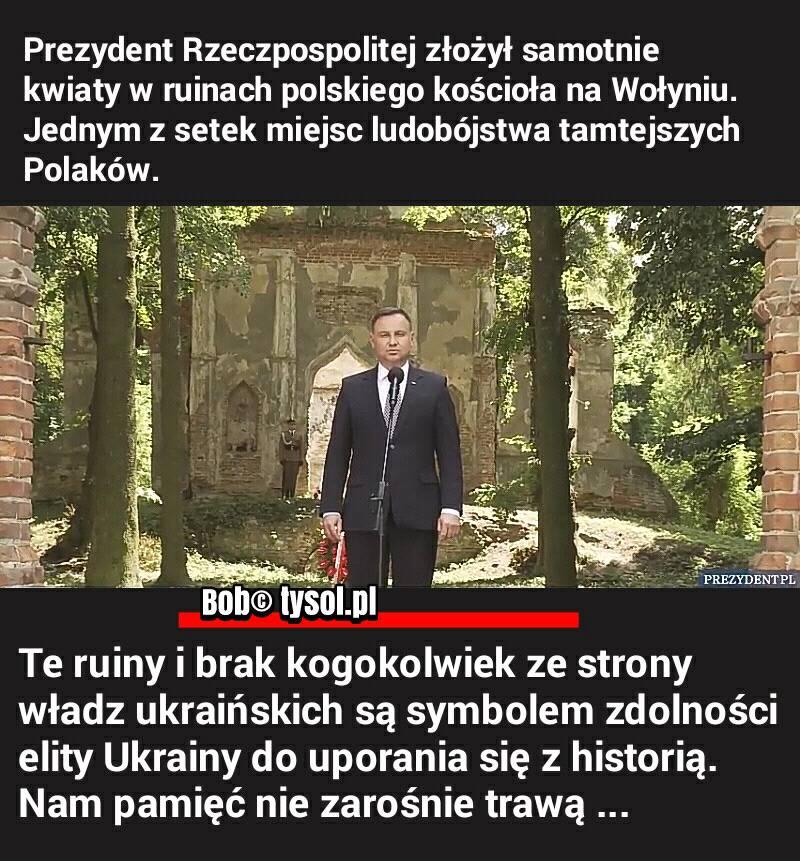 36896913_10156524067725909_7072645559697