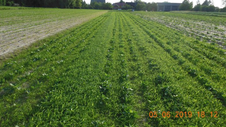 AP1GczOm7RnEhgbfCx2oaT9oy0VfPhHQuQlpgnFh