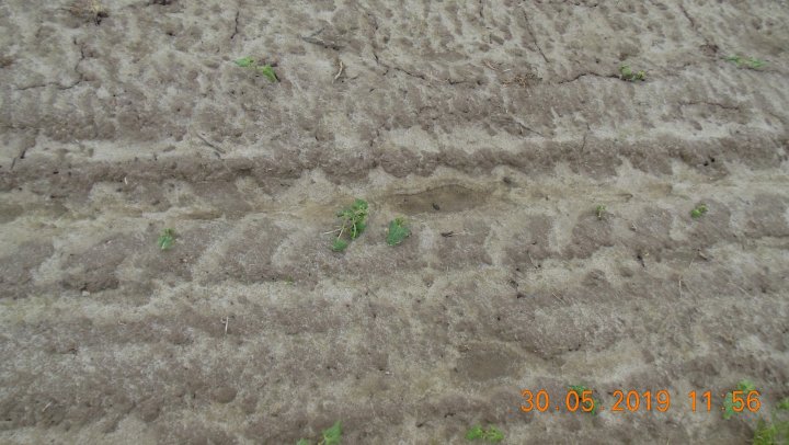 AP1GczPgZ_YZAZx0k9XKgGF9uEMuuyBeQ2Sgo599