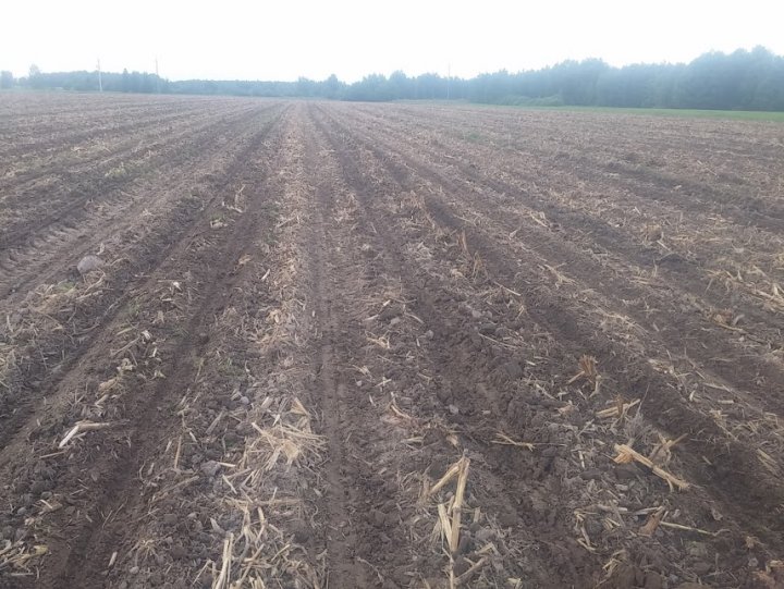 y_aTeNmeJBRTQIQFHJGaQJkuCPytvVKXBp0bAHB3