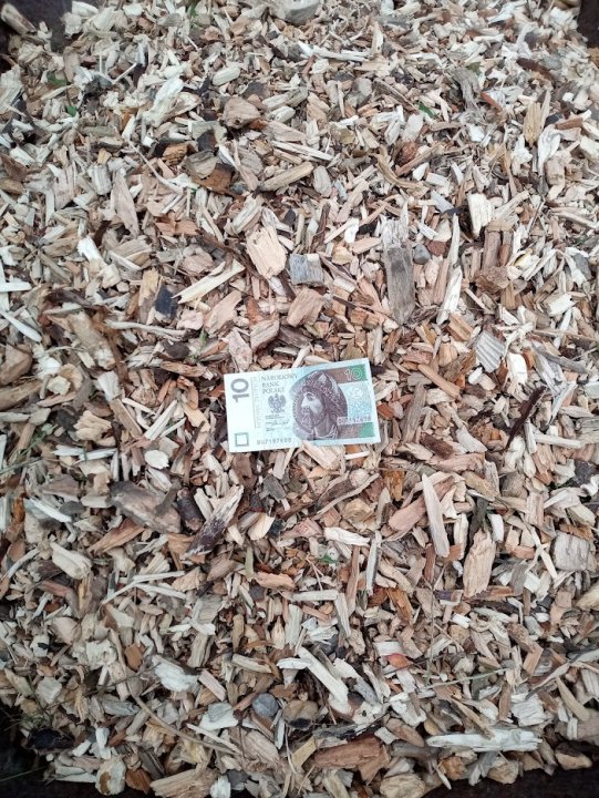 HvSpYE0s0vJaI5RM7Fjap2TX4o2ojAQ10Mhpo2UZxegroPUiWiLu7Ll-bQyT5u1yMpX7d8upoRs6gdxdR1rAJJl9-kWs27h4qHDdJaCJ9P6hFTBsD_EA_nLP2m0Q6-UvsByqDZnLLysuFL5rqQXadpIc3PqjgWbQ45kRethVNjlbEcmuv--7m0JKxlmi0yYovn3uzL_tgOOrAeqHNq4t48WXcJ1Ovm129OhgM24DXIgN9fdhHXqGFL2Ac19mJ34ujVZ4VoRwpSyHcXjJwmETIWGtS2oGNFj4jVApcngvEVWxIPiU_NXZM6-JiZnI-L_7ObPnc1bMz-LQhhAn8Jk-ZSAPgiy2z5enyuLnAAEv6eOgeWufwTOOKpp7bY_36g2CmPhfPuqnJhWSoIfCB60x-zt_4Uw1I856qLGoE5uRCNaCHxaoncFHTCLF65Y8MJU4GVyRIpEa1Yf3pJpchi58wB6owU3ArQcv3vIy2j1gbpBchYrJ37sjBQCmTxd4xRjssPgKAqYvXbibBkZh_t6QjCDd5hKC3L6jQHqdknGzVuHFEWtvzKjwpuypvJGUYXrwO4kEVqj9GdBX1k5yiCyNQ6bwFyXGI2n_74MLdnc4m6DX7Z2Hp9u2OWoLGuGcfkL1EDlOz6U20HuLf-8fXidWngHBwVpVIm9gMtIFpTejqKN4bcEAmsD38AXAfOk0ZENQnZnbnv7m_8Vl_9Ras0AO5tDjfWSJIc5AuudQWImZLSyxhHhawXznPF4ibi8=w703-h937-no?authuser=0