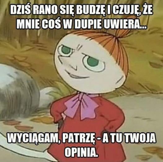 361929556_3525462187776279_2245163040864