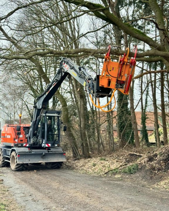 Może być zdjęciem przedstawiającym drzewo