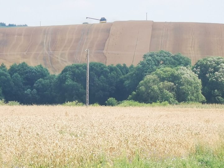 Może być zdjęciem przedstawiającym na świeżym powietrzu
