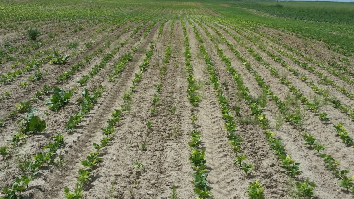 AP1GczPw9ia0XB0Rqc9A_Xl0q7tDxmKZb4BgVBLk