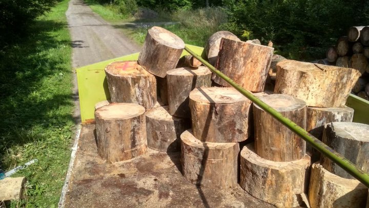 371911505_1011251016966734_4373740124208