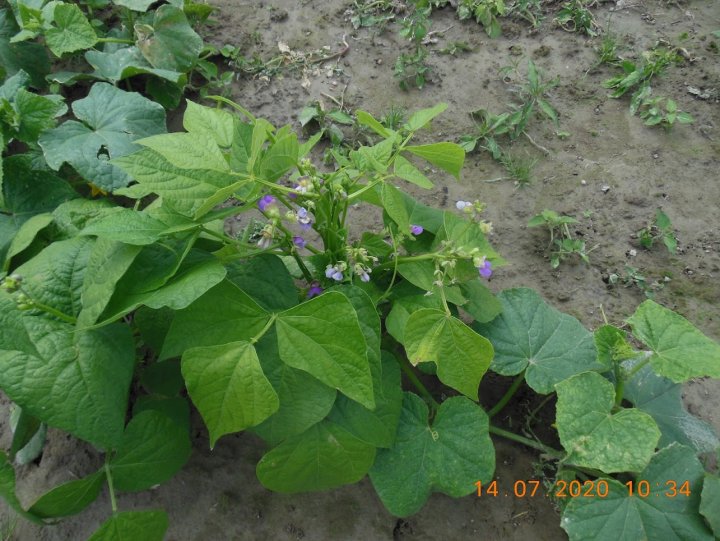 ACtC-3eJ3C4rJcMxOJxGFebu0z4CE5OUFeyndJEt