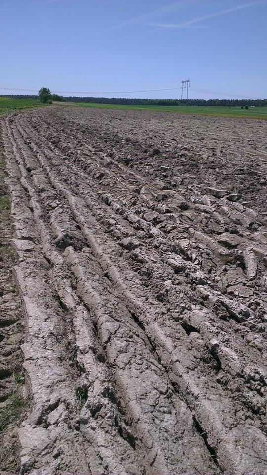 32381177_1820117698050094_74526736033062