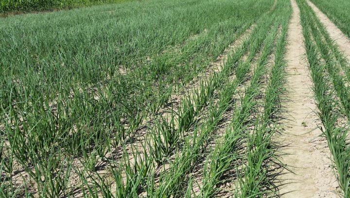 AJFCJaVw00PHoqY1Zd8rJ-ALWjyyBBq_JRgrQGsd