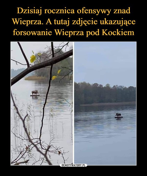 764-dzisiaj-rocznica-ofensywy-znad-wieprza-a-tutaj-zdjecie.jpg