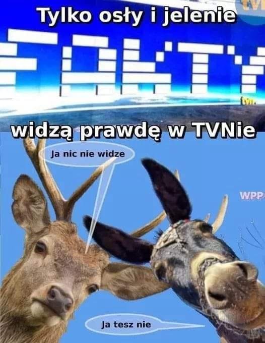 173489166_2873294026221680_1837399370367