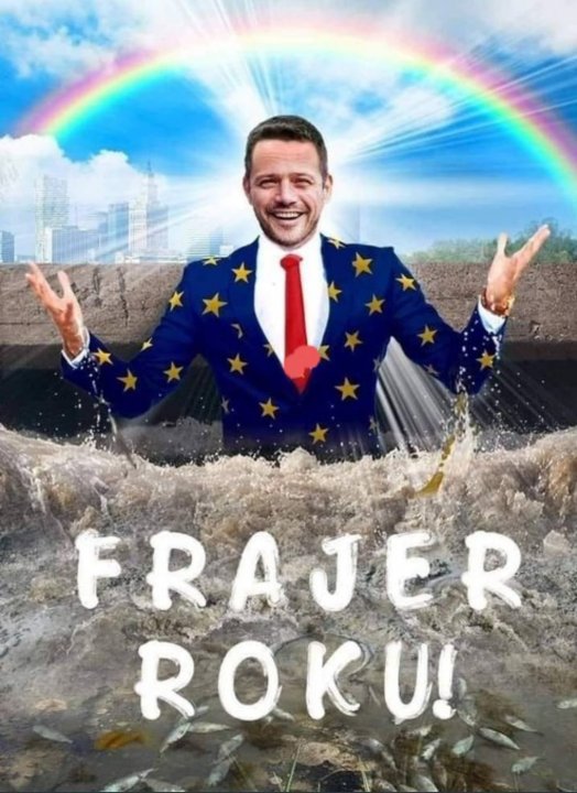 256419204_425486012433380_57591806727453