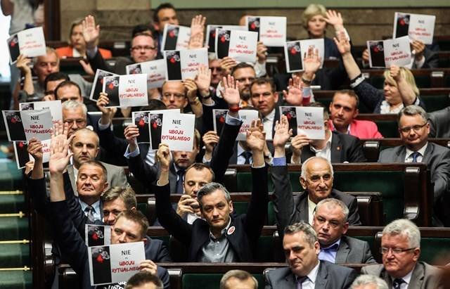Ubój rytualny WYNIKI GŁOSOWANIA Sejm odrzucił ubój rytualny WIDEO