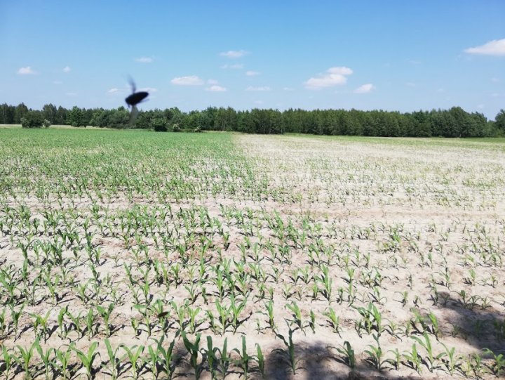 5aRnATG0wmwJaYcedoNIAbHJLAzgx2AU9NmxB4Dd