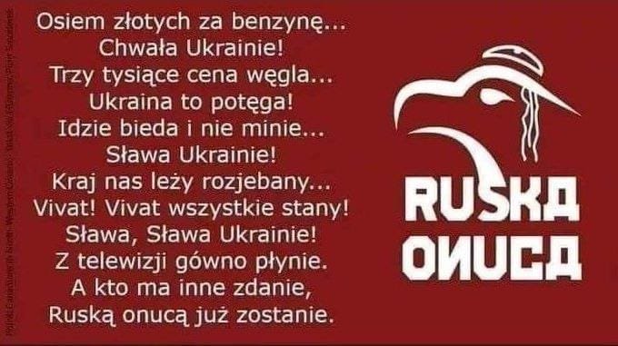 292783162_561019085678524_44080484348047