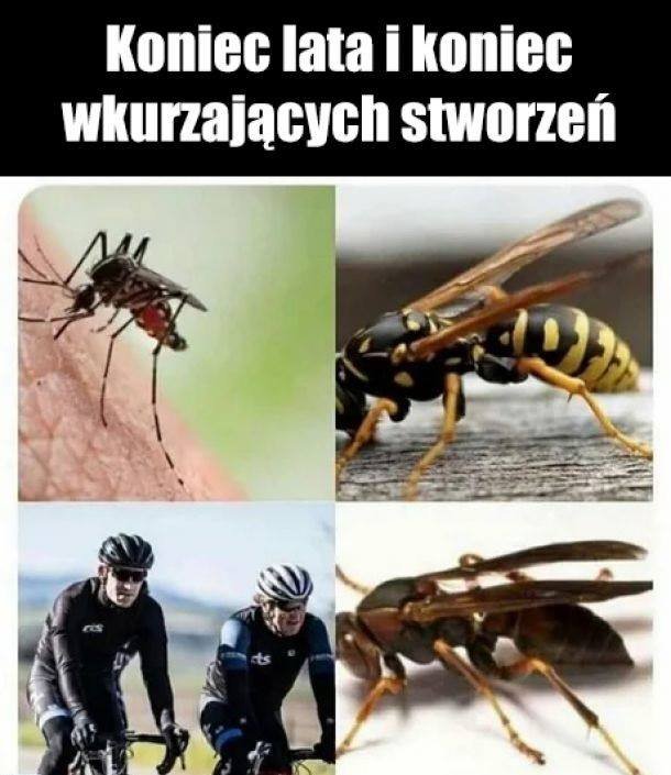 120530657_3140672506054670_3531574698002