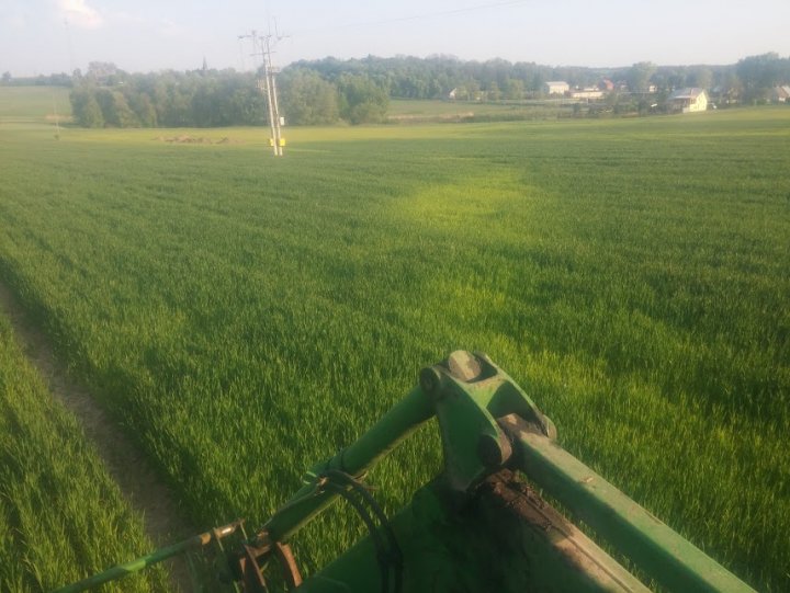 hgcly_BMSskZAdb2e38-hIFfO8os5t8LyNBBXHdX