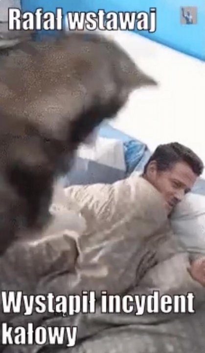 BktktkqTURBXy9hZmE5MTA1YWMwNGM5NzRmMjgxY