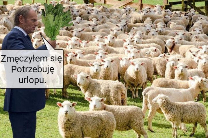 212681318_222721539670036_97589039601785