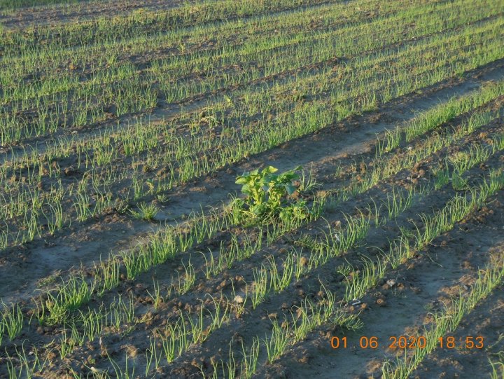 3zUvMZf88FwVRMCJ8uvW9DkZTH6Z5y4QlgUAKX3kWy45hp93dBxdZLB3NHQxW2SVDjE9DUcjLFp4ObPe6KVZGGDLZAshqumbbnbzVBb_MlHODj18bbtAWkb1-X_5SF7GhtAvJJzkUeUNH3qGu2-rw7GqvHl_jRgoZsBOrypVeU7dJqrhUdnOo3ctE2vM9NaXHOj3GbSJ4REwpB_BD9uoIOSM7mMw9QoJBD146m8QIxM7W_-PsuclJnLgDermo5XC1KE272Oi4hI_DE1I2dbe7p0FWJd3h2c_sXTJ3P7QLA-a2u8t9F0CNweKHxbqwJ-LVEJB0XL4gxC6s3fZo3l-ieLJ0GLRElR4Y6q7ykJJLP3bz2u793TbHtt2Fc3lzR8nia6EWQndeaqnR8ne-Z7kGzNWegVQAFgOxZ946NwdM3s_0UVIjwXuJzzQuy_nn5YcVEi6sdz--HGgJ-BYZJlXivZo72p3mh-ozlWMspkacXCtR_PLondlUEU4FjicdaAndIuLVaT4UofDDT2iguhg9vGipbBnC4qiosYQB8iBXuEGhwKjwPHAHlHqJftXtY-hlzkSPip16zhI3My1g5xGULpf4VMD_sP6hkfVoQZ6tlPEDyxTRyna6m_aNn0J4f22mL_bLMtap3QdyFRdjUxXzhwQgIqyKCTEyeiS0HesEJY9733NmkfIV2oql2cWUw=w1242-h931-no?authuser=0