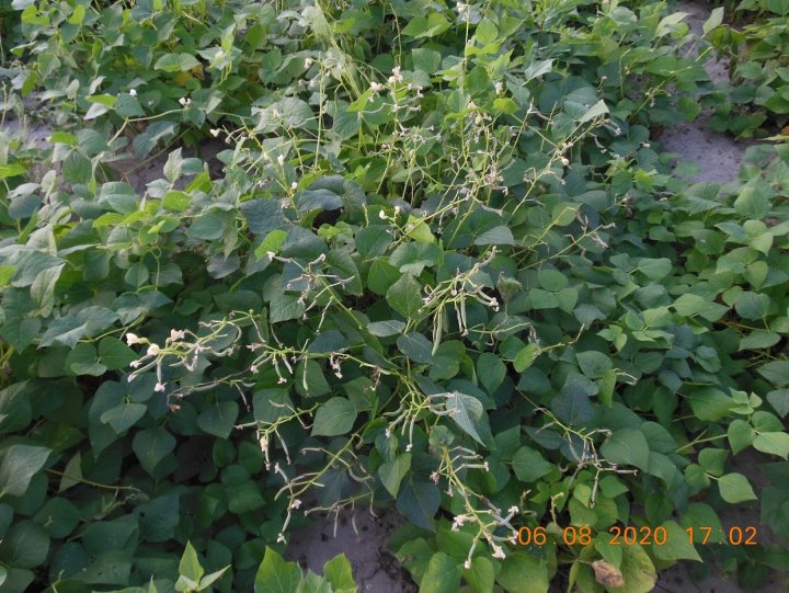 ACtC-3eeZu4G0kYemvAhZMMA5kPJrEoTNdsw1Akl