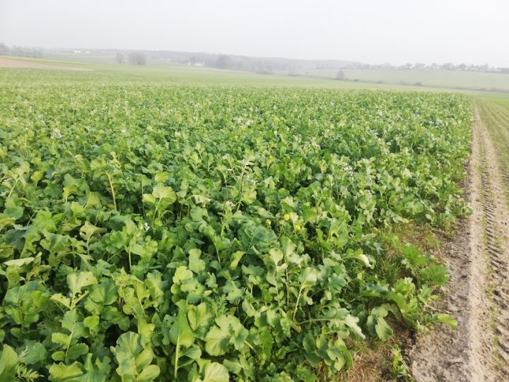 vRIbeQJQ7pN5qVt8QCu1YAOUMYZGf46H48f-tKhb