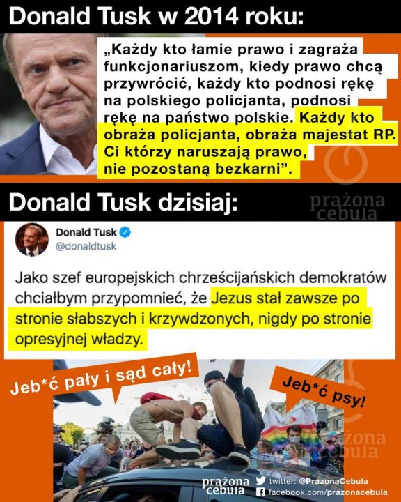 117430366_3249596298396114_7938750540475