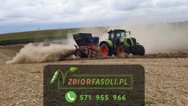 Młócenie fasoli 3x Double Master 4s Zbiór fasoli