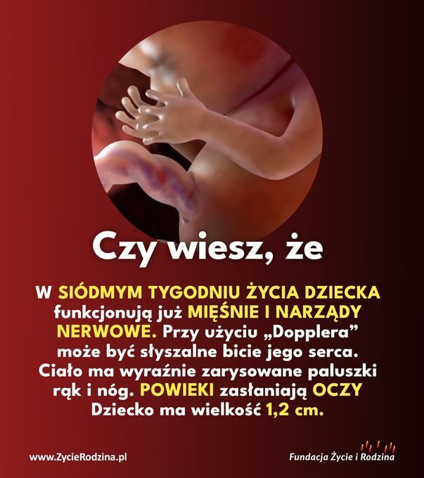 FUPbn62WAAArNdd?format=jpg&name=small