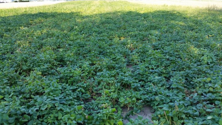 AP1GczNsERMTwbnIPRSB1qoSS_EAVdxwIuudpmrX