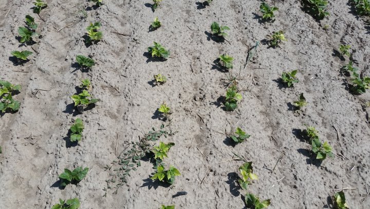 AP1GczO1fIlU0UO5jsWHdCvvTMku2gJKRwls3Yln