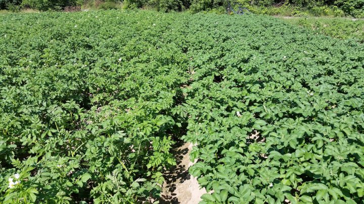 AP1GczOhhsuKN3urzmffFv8dG_lqrtg-W-8utMTG