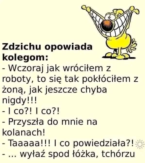 Może być zdjęciem przedstawiającym tekst „Zdzichu opowiada kolegom: -Wczoraj jak wróciłem z roboty, to się tak pokłóciłem z żoną, jak jeszcze chyba nigdy!!! I co?! co?! -Przyszła do mnie na kolanach! Taaaaa!!! co powiedziała?! ...wyłaź spod łóżka, tchórzu”