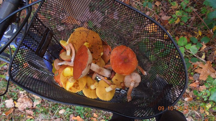 AL9nZEUqrFYZjzmr_xLf5KN4ypvuZS7g_fQTrl63