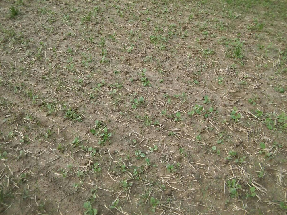 40803305_1976031182457652_66434409522979