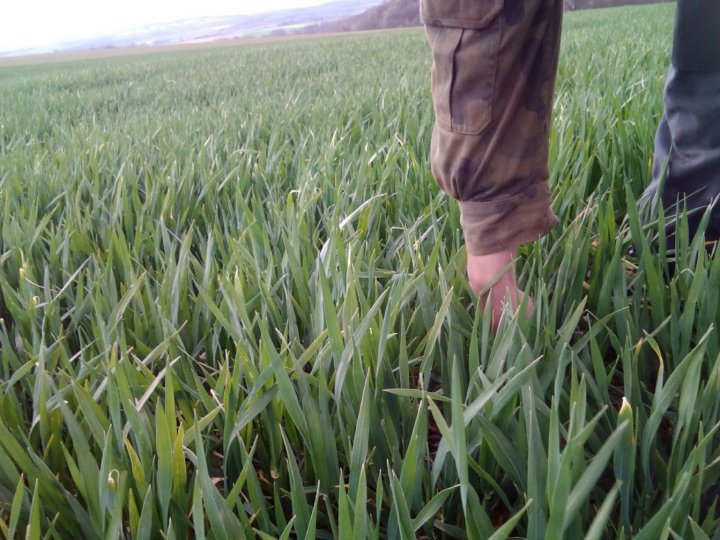 T0G8wFSDwHMoyW_IdhXRDGOrFBv8YTgiOkjRLVD5opBFHgF8shKt9pbCP9abyKXrZb55Gxq9_dbDom4b5DPEzQdHGUCgYuN2o0fr3cBZrrkQrgJKMj5ZtSy4rMYcOvtkJKoAm4dMYygas3-_53c2RES1HycitGi02pxgeET1Cr9nAn1OMLkTt1Gh4EDzDdPFWYcU_7pas_OwhtHYe6J2tdbMBxaESmlowD76QxvFs4tylKUBJHu4fzdVbw5caD9rqRfNqS9rhs-VsSXSol3Gh2tOWzSavCjl8BPyLaTxn1LTkDJo2FmBwkzEyh55sQzu7P9cL3Qss6CCACoqhSbgLu59ripyb-iOB7zfJeqsXutwU5ZB9m6TRidz2HhzdsOhs1hcKA6SZx7wh8GMTINpAk_YFAftnfi4fNcjw6AHpIgDNQC-fwqDUu7NXddvhn3DvappZUYrH_mMNTEylcY2B2JC1Tupb4HhxagYwunnlA0U2C7xB2HSrKq497ZMIfRdFPaoV1Qn0-KpSml3izDKTCB-seV_lvUPI5xjeRfqszmaSwOHFTqp0BJC9Mnmm_qHlFWMrrIsnYGc4wRDtAprIuBTfqzndi2ikRLBqMAD50Cwo15EQR9M-2PaRY7S3Br9W6Psp1ZgSSTLJgTXsMpxtTwwH1k8pnP8IhccqKYxSO0XERuTpJdqKZR1Wtvg=w1343-h1008-no