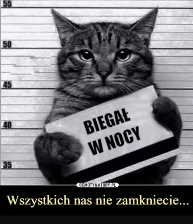 EUu8S1bX0AUIpHc?format=jpg&name=medium