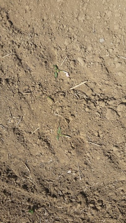 AP1GczOUwSX5ndmBbDXxjaSoLQj6L55mvph0EkbD