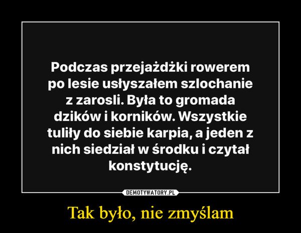 Tak byÅo, nie zmyÅlam â  Podczas przejaÅ¼dÅ¼ki rowerempo lesie usÅyszaÅem szlochaniez zarosli. ByÅa to gromadadzikÃ³w i kornikÃ³w. WszystkietuliÅy do siebie karpia, a jeden znich siedziaÅ w Årodku i czytakonstytucjÄ.