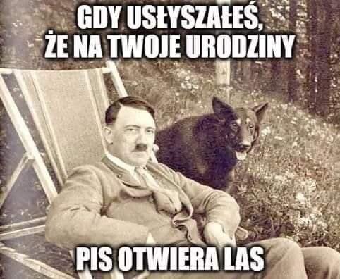 EWC6XQyXgAEg29s?format=jpg&name=small