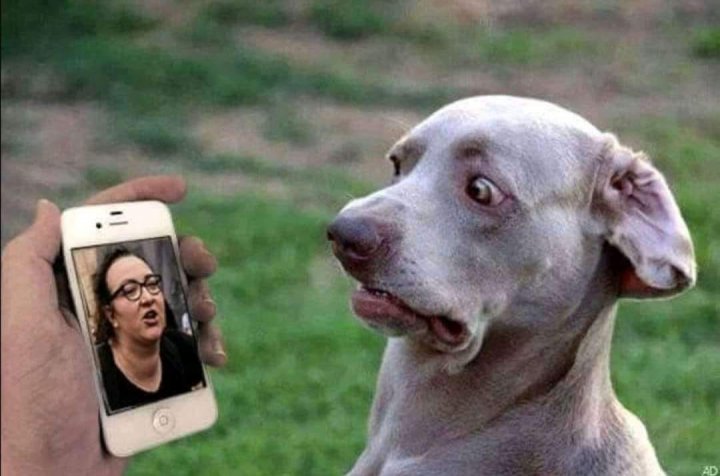 174541014_301675761330531_85515047450268