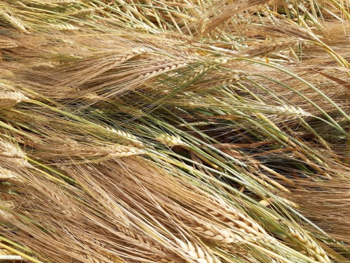 ZKcYcLGaElbDx6cpmbv5zRdkqZ1fnohqbx8TXrpz