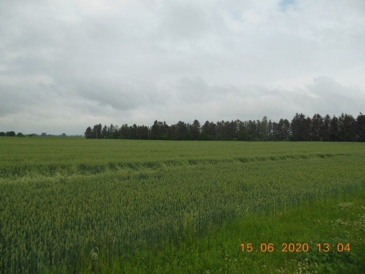 ACtC-3f929odiIg8dXQOsU3MEWLw1MKHpVkZthqg