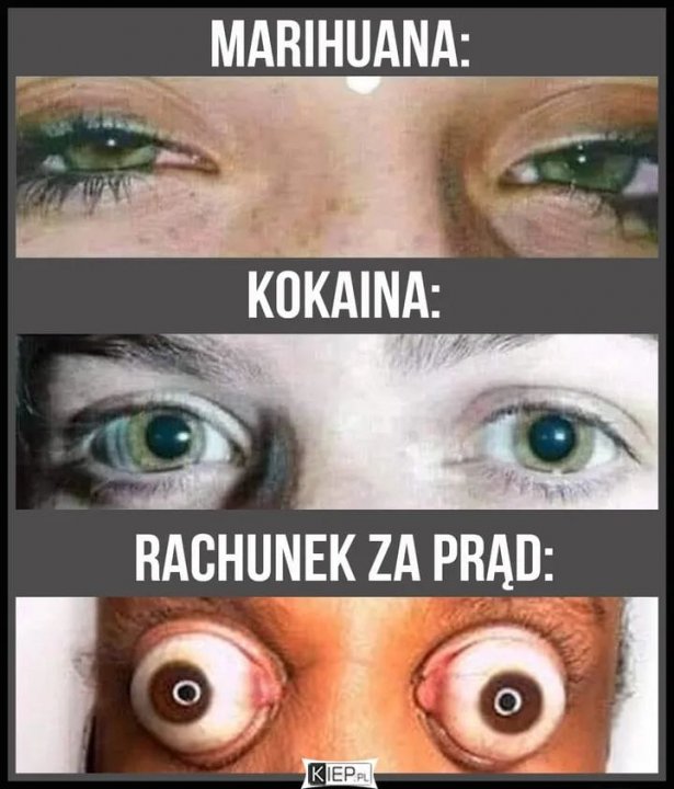 Może być zdjęciem przedstawiającym 2 osoby i tekst „MARIHUANA: KOKAINA: RACHUNEK ZA PRĄD: KIEP.PL IEP.PL”