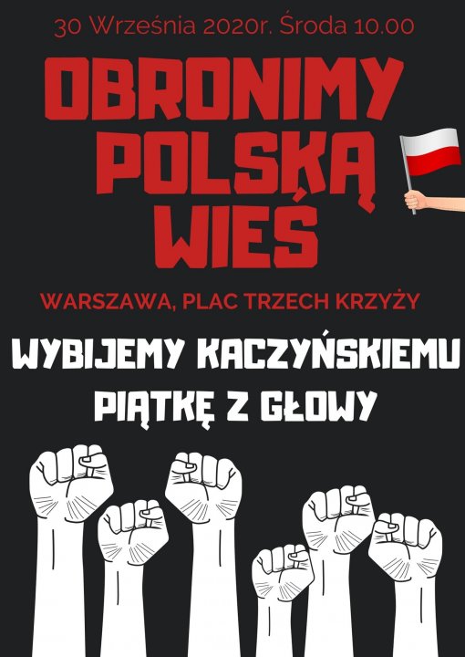 120293307_1955361281267227_3326706115655