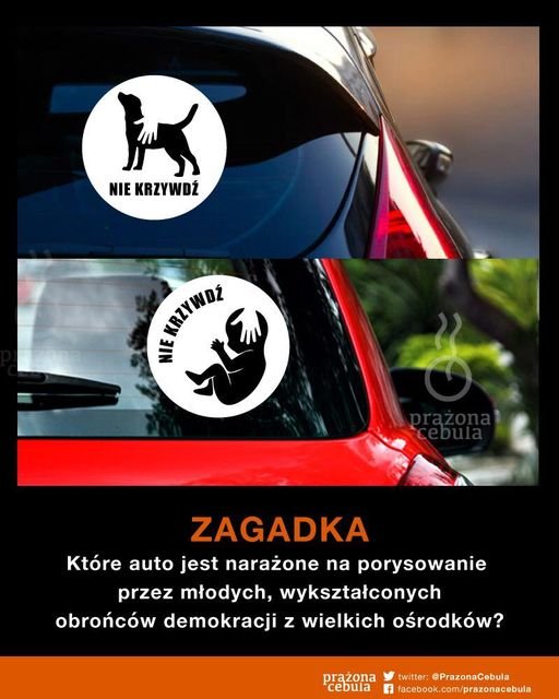 242063593_4386293381393061_4050564938191