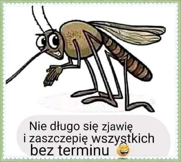 Może być zdjęciem przedstawiającym ‎tekst „‎د Nie długo się zjawię i zaszczepię wszystkich bez terminu‎”‎