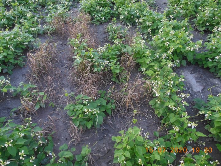 AM-JKLWmLz7b_K7k3PD2izWlVLzgiGb3BKYxw6ef