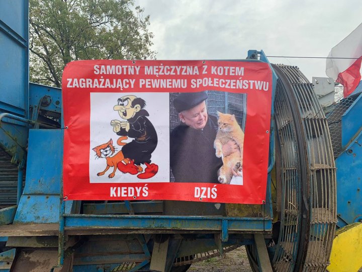 122336287_2909425795988526_4839832548405