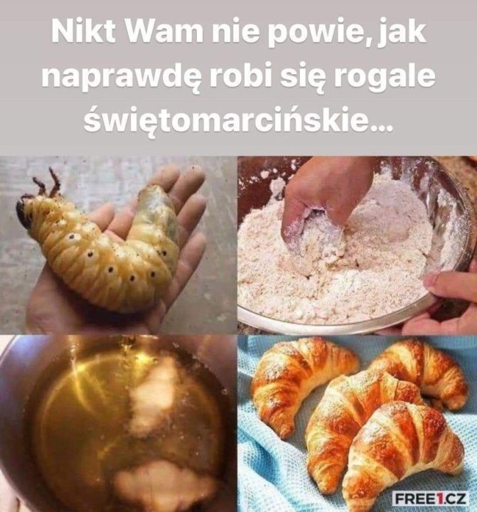 401717470_10226770672039927_539235973030